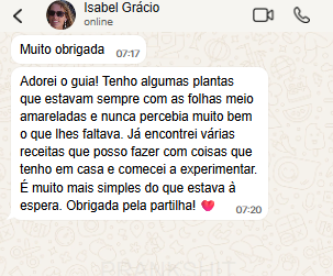 Mensagem de Isabel Grácio sobre o guia Ouro Verde