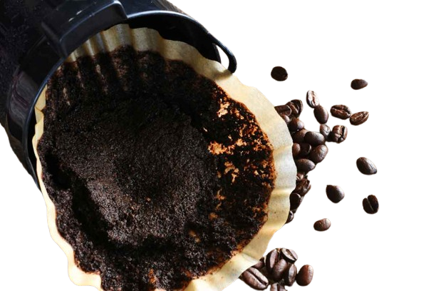 Borras de café