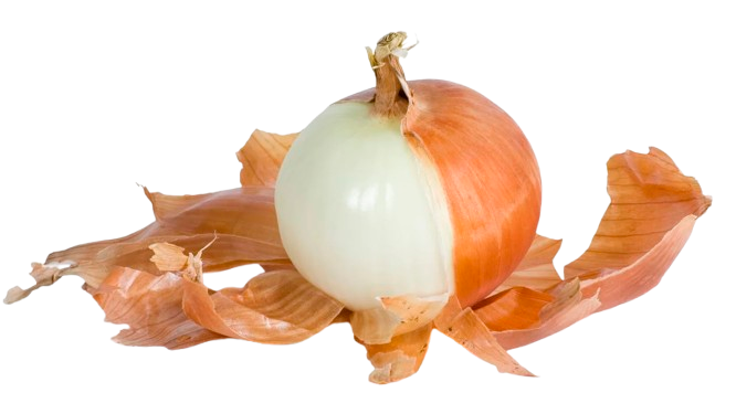 Casca de cebola